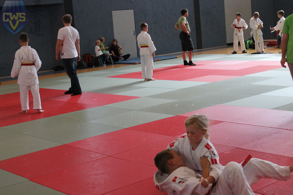 images/Bezirksoffene Judo-Safari 2018 der SG Weixdorf-105.jpg